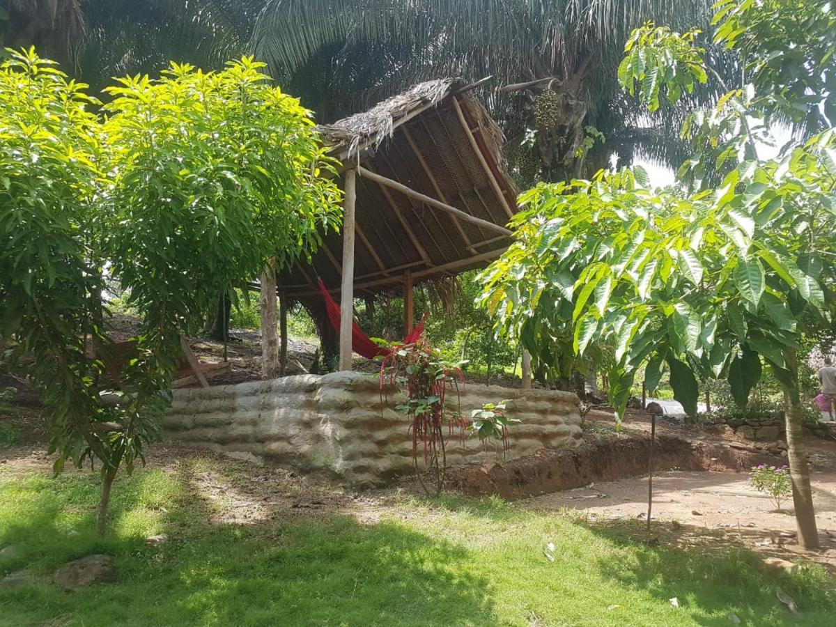 Eco Hostal Monolandia El Zaino Exterior foto