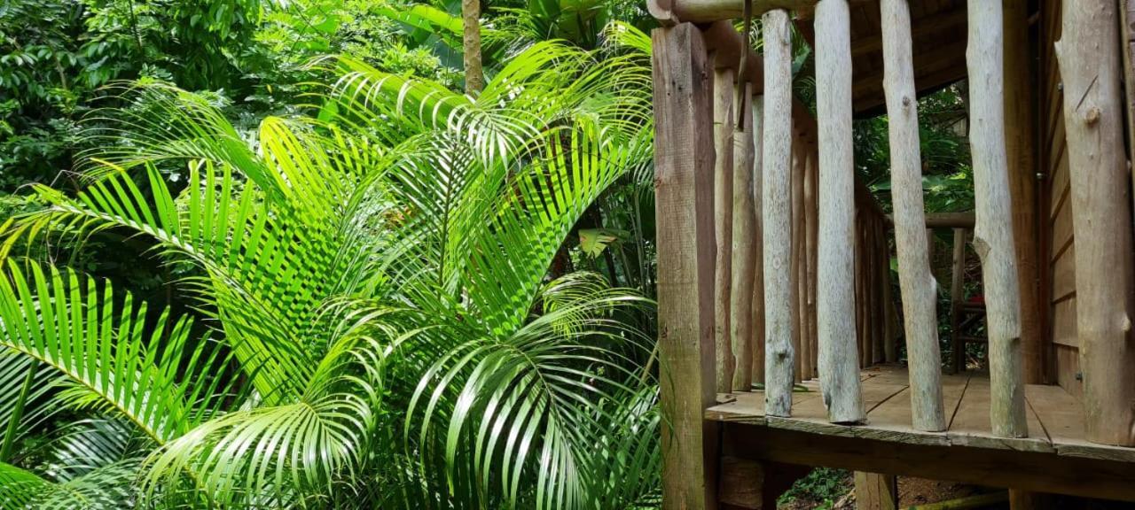Eco Hostal Monolandia El Zaino Exterior foto
