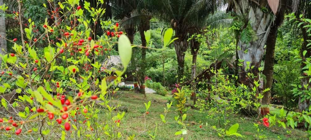 Eco Hostal Monolandia El Zaino Exterior foto