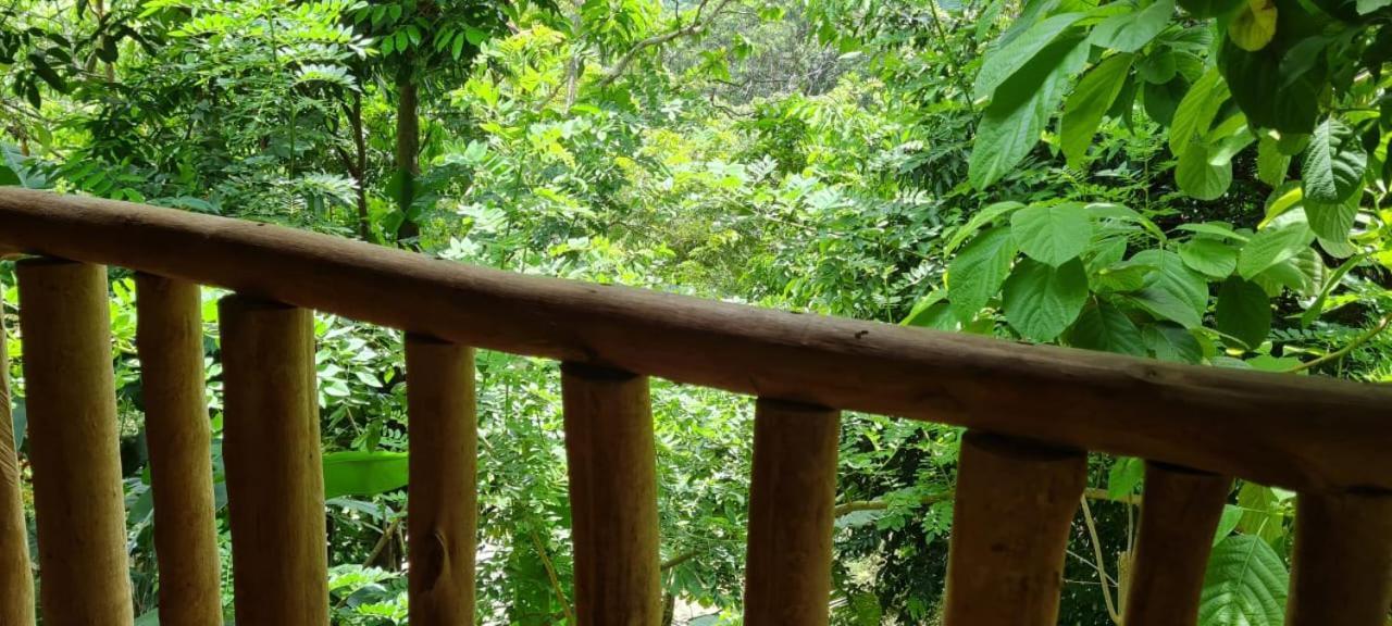 Eco Hostal Monolandia El Zaino Exterior foto